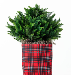 Small Limited-Edition Tartan Plaid So.CachePot Planter Cover