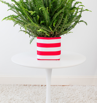 Small  Red and White Stripe Limited-Edition So.CachePot Planter Cover