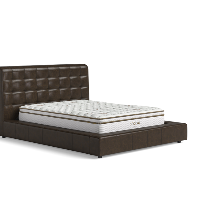 [Sweep] - Adra Leather Bedframe Espresso_ThreeQuarter.jpg