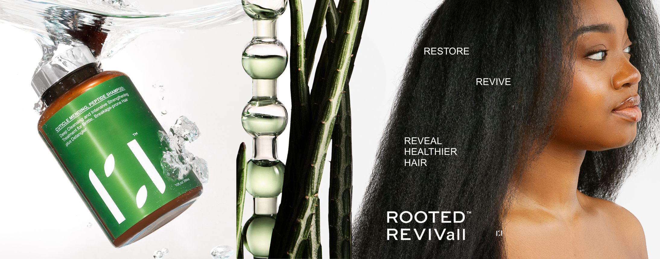 ROOTED REVIVall