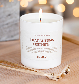 THAT AUTUMN AESTHETIC CANDLE
