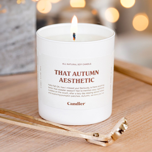 Candier Unveils Limited Edition “Future Fall Nostalgia 2024” Candle Collections
