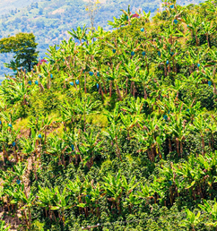 Untitled design-35.jpg