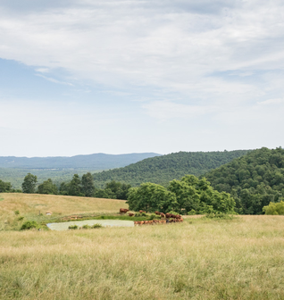 Grass Roots Farmers Cooperative