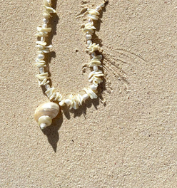 Island Memoir Shell Necklace