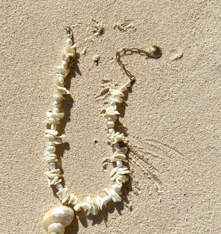 Island Memoir Shell Necklace