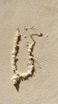 Island Memoir Shell Necklace