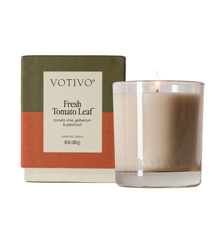 Fresh Tomato Leaf 10 oz. Signature Candle - Trending Tomato