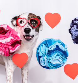 Puppington Pupper Snuffle Ball for Dogs