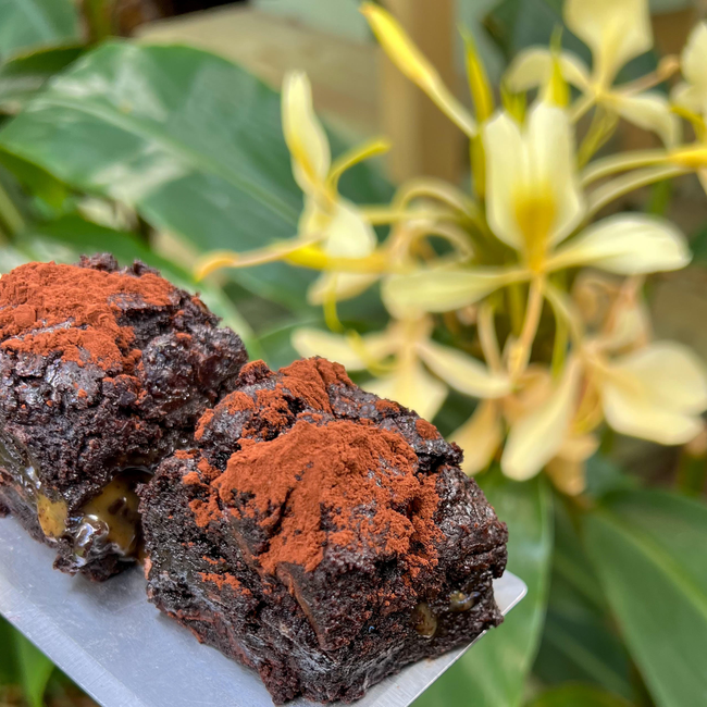 When Brownie Met Strawberry Ginger Flowers.jpg