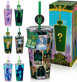 Wicked Mystery Blind Box Tumbler - 16 oz