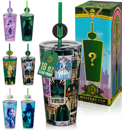 Wicked Mystery Blind Box Tumbler - 16 oz