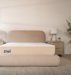 Ziwi  ZiPP® Classic