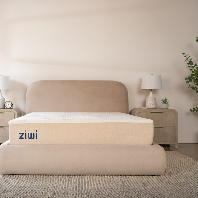 Ziwi 2511 085_Color_v01.jpg