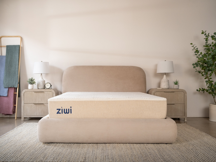 Ziwi  ZiPP® Classic