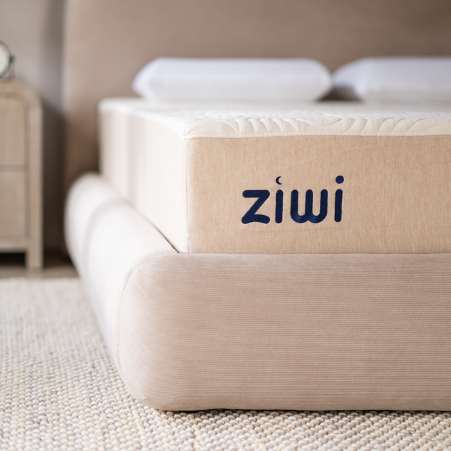 Ziwi 2511 113_Color_v01.jpg