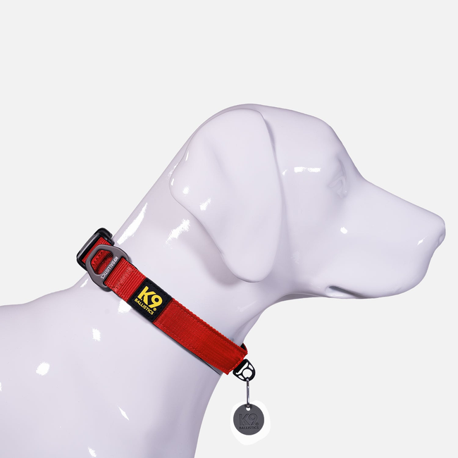 K9 Everyday™ Dog Collar-gallery-35768815059083