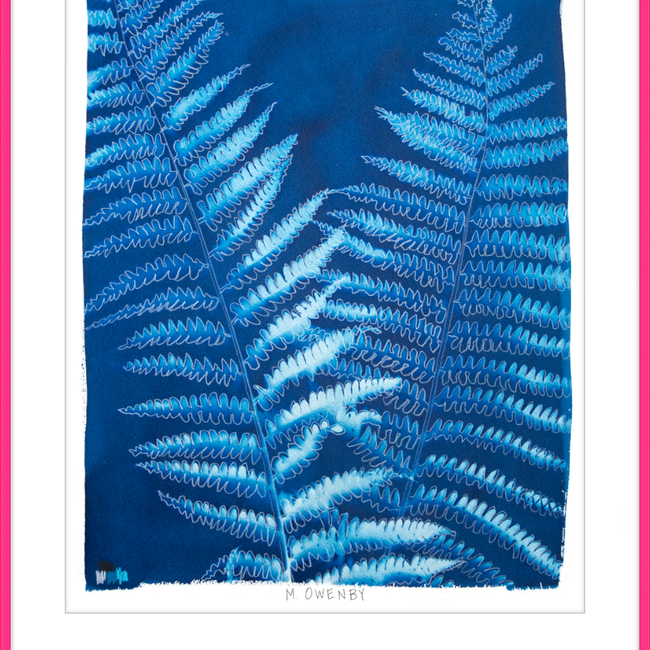 Ostrich Fern-gallery-48954474299683