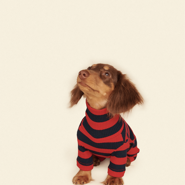 Ivy League Onesie-gallery-61904989847838