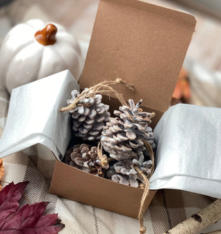 Fire Starters Fireside | Set of 6 Pine Cones | Cypress + Cedar + Fir + Amber