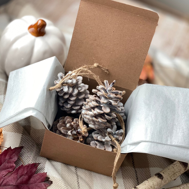 Fire Starters Fireside | Set of 6 Pine Cones | Cypress + Cedar + Fir + Amber-gallery-30702345453638