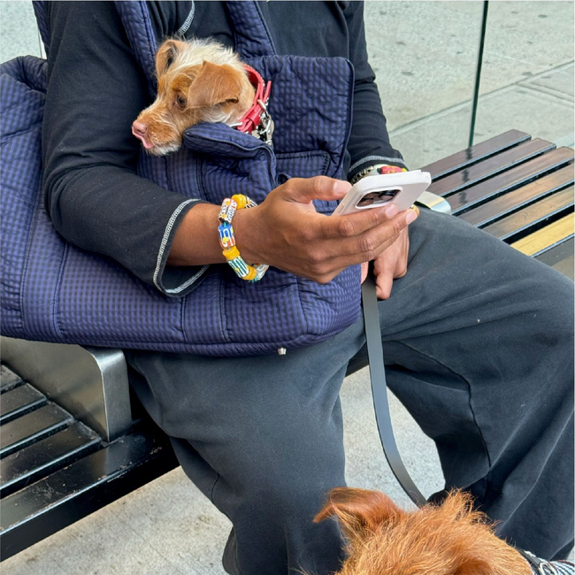The Little Beast Carrier - Purple Haze-gallery-61703073792286
