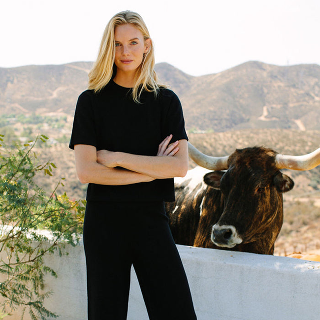 The Liz Set-gallery-33707309531275