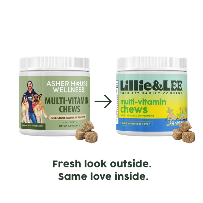 Multi-Vitamin Chews | Energy + Defense-gallery-35165828186321