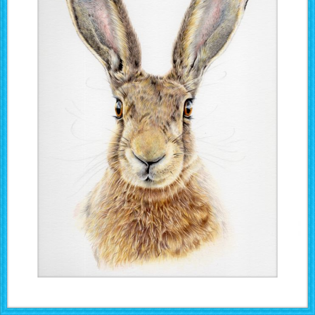 I'm All Ears-gallery-49475772416291