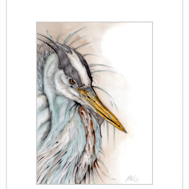 Heron-gallery-49475811967267