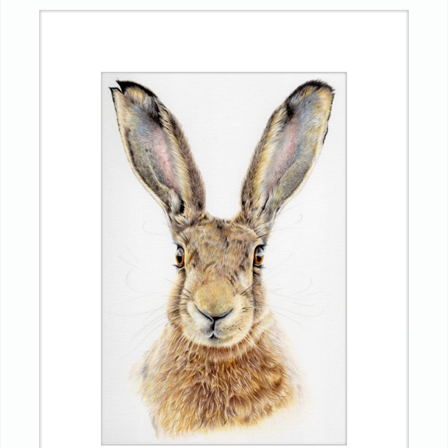 I'm All Ears-gallery-49475767370019