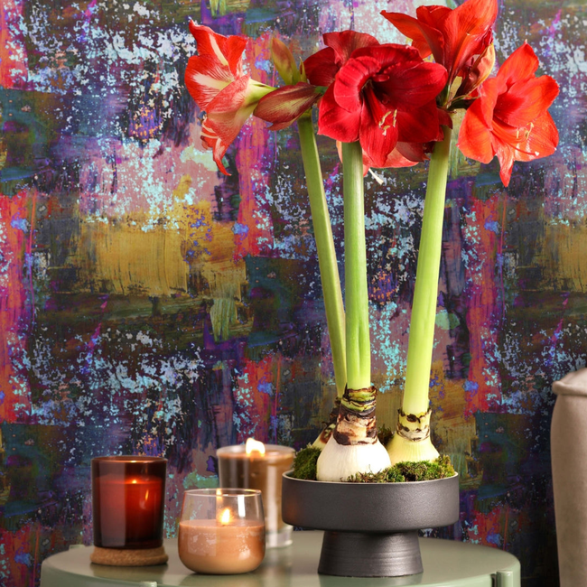 Peel and Stick Wallpaper - Vintage Gypsum-gallery-33444993892465