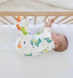 Dino Dreams Zipped Onesie (0–12 Months) – 100% Cotton Muslin Baby Sleepwear