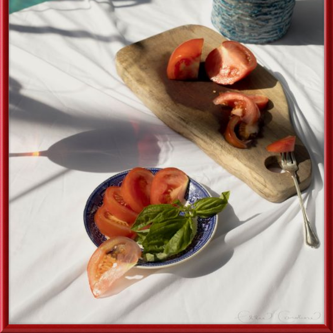 Tomatoes-gallery-48955130413347