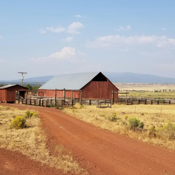 Dirt Roads - Bougie Parfumée-gallery-45565116743988