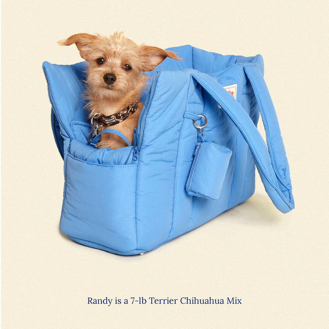 The Little Beast Carrier - Baby-gallery-46260126515486