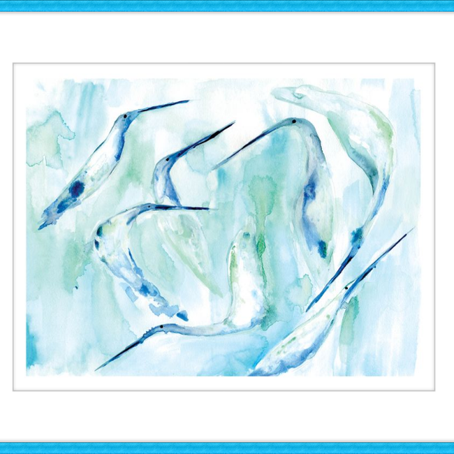 Birds-gallery-48955774370083