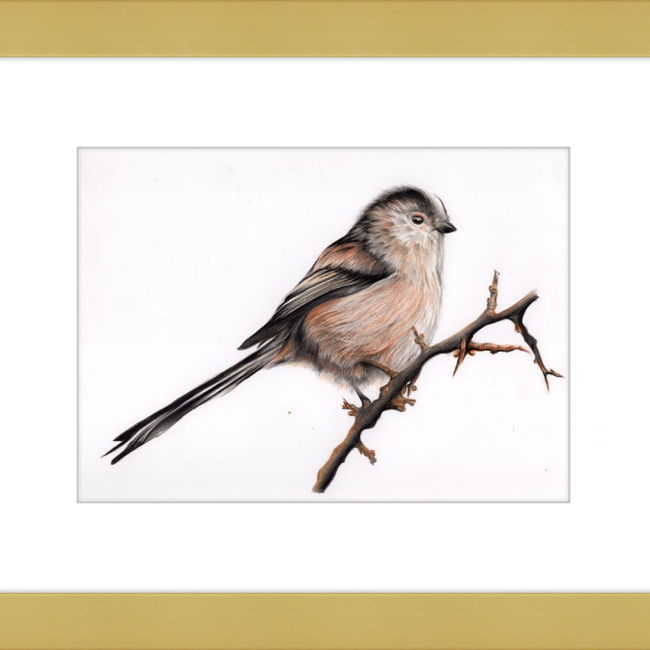 Laura the Long Tailed Tit-gallery-49475869638947