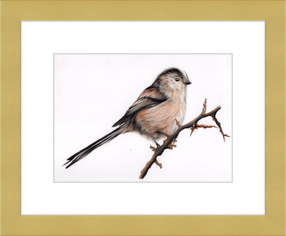Laura the Long Tailed Tit
