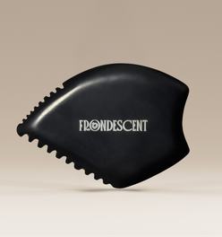 The Bian Stone Gua Sha