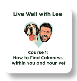 Live Well with Lee Course 1: How to Find Calmness Within You and Your Pet