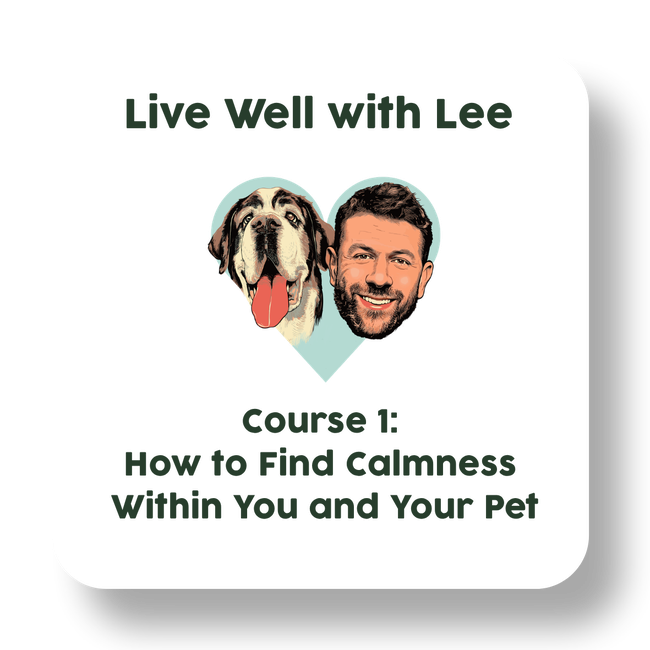Live Well with Lee Course 1: How to Find Calmness Within You and Your Pet-gallery-35205419532497