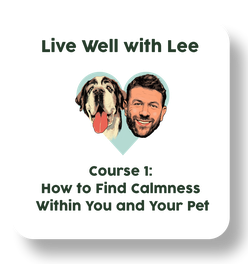 Live Well with Lee Course 1: How to Find Calmness Within You and Your Pet