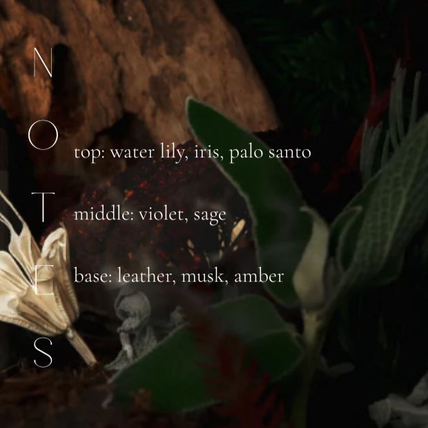 WHITE SAGE & SANTAL CANDLE-gallery-40819698139298