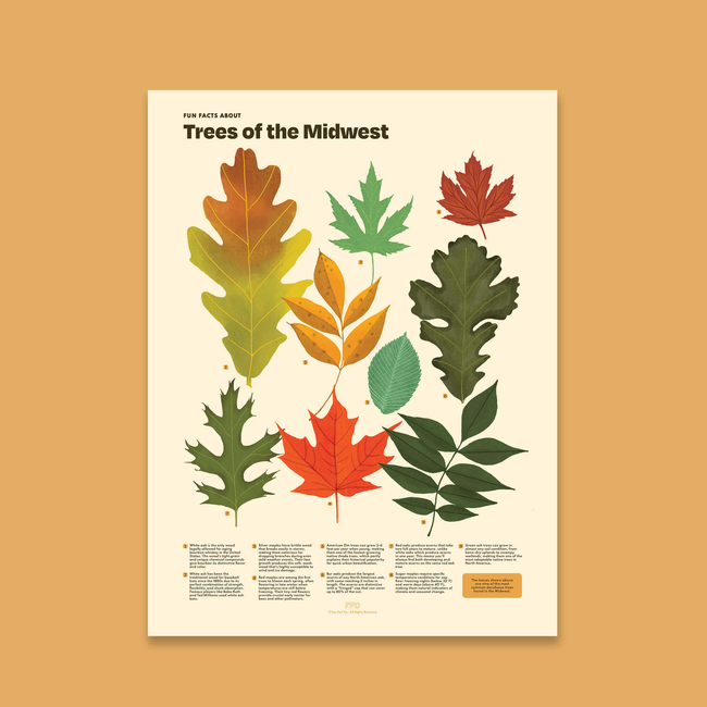 Trees of the Midwest Print-gallery-44322482847990