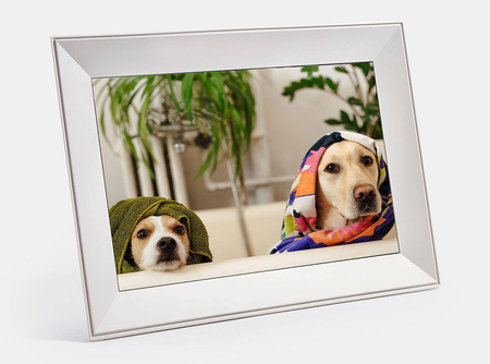 Holiday Gift Guide: Gifts for the Pet Parent