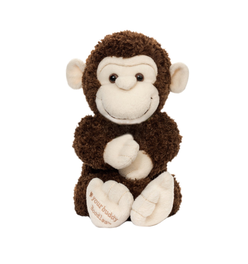 Your Buddy Boodles Plush
