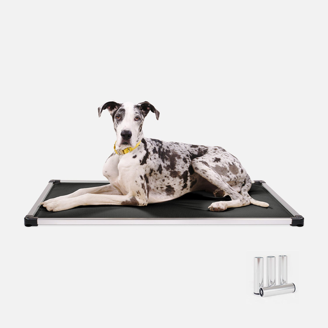 Chew Proof Armored™ Padded Dog Crate Bed-gallery-36163550576779