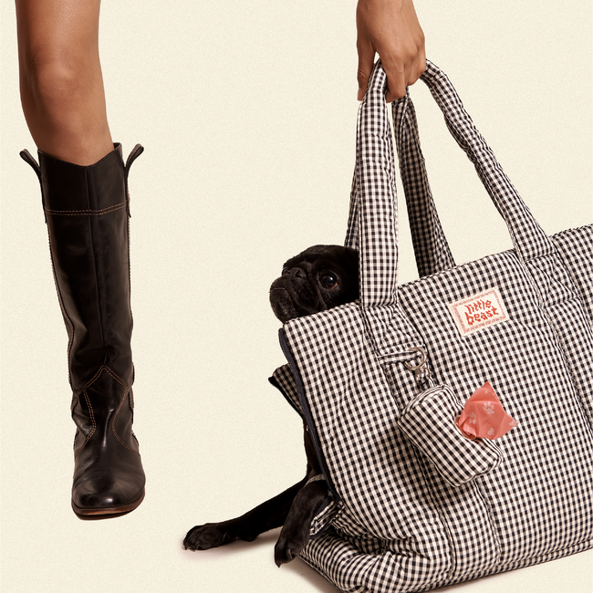 The Little Beast Carrier - Noir-gallery-45780490813726
