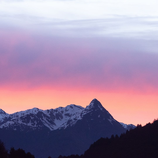 Rosehip Oil, 100% Organic-gallery-36891834122417